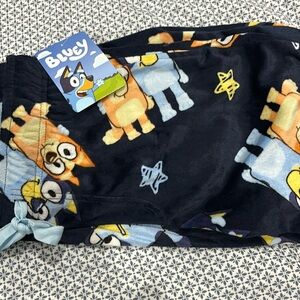 Bluey boys pajamas velvet velour feel size XS